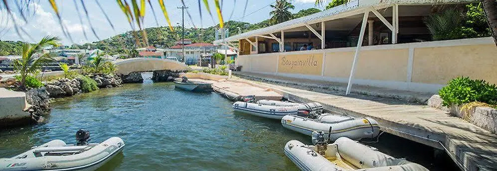 Bougainvilla Hotel Union Island